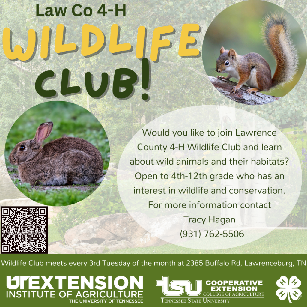 Wildlife Club
