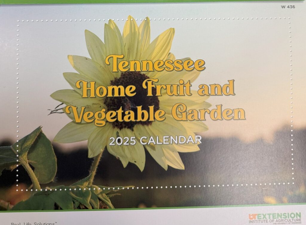 TN Home Fruit & Veg Garden