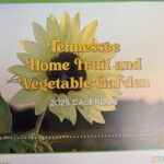 TN Home Fruit & Veg Garden