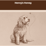 Henrys Honey