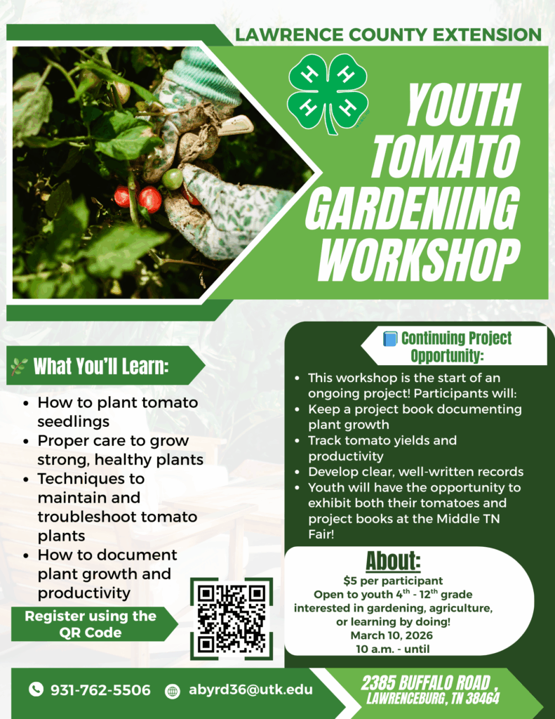 4H Tomato Workshop