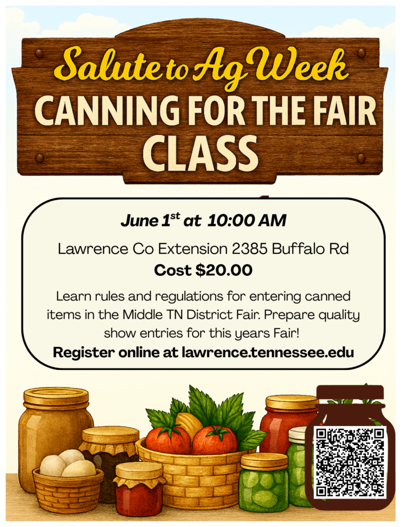 June Mini Fair