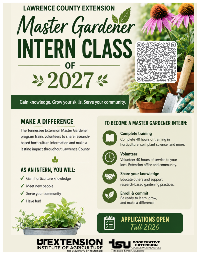 MG Intern